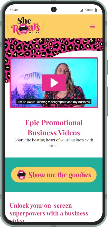 She Roars Media - Epic Promotional Business Videos (3)