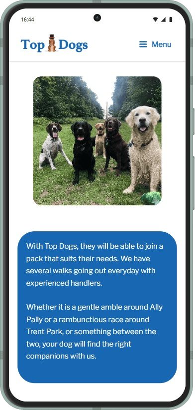 Dog Walking - Top Dogs North London
